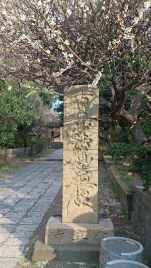入口
